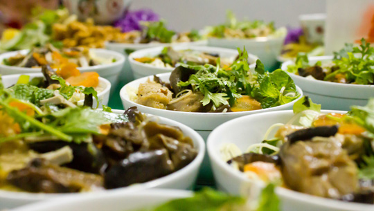 Enjoy Vegetarian Dishes at the 2016 Green Food Fair